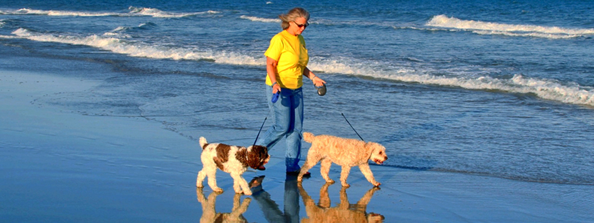Dog Walking Myrtle Beach Pet Friendly
